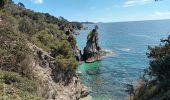 Randonnée Marche Hyères - Tour de la Presqu'île de Giens-05-04-23 - Photo 11