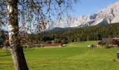 Tocht Te voet Ramsau am Dachstein - Vorbergrundweg - Photo 5