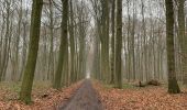 Randonnée Marche Braine-le-Château - Braine le chateau 11 km - Photo 9