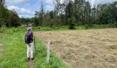 Tocht Stappen Huldenberg - Huldenberg Terlanen site naturel Lasne - Photo 18