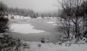 Tocht Sneeuwschoenen Cornimont - Raquettes Chalet des Charmes - Photo 4