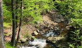 Tour Wandern Eupen - Ternell -Eupen - Photo 2