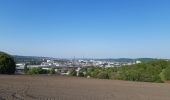 Trail Walking Liège - liege pont barrage jupille robetmont bressoux liege - Photo 17