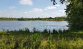 Trail Walking Dessel - Dessel-Witgoor 12 km - Photo 1