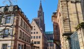 Randonnée Marche Strasbourg - Le tour de la grande isle  - Photo 3