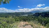 Excursión Senderismo Murol - La Dent du Marais - Photo 1