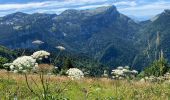 Tour Wandern Saint-Pierre-de-Chartreuse - Table d’orientation de la SCIA - Photo 16