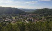 Excursión Senderismo Cabasse - Autour de Cabasse - Photo 16