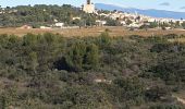 Tocht Stappen Châteauneuf-du-Pape - Châteauneuf du pape  - Photo 1