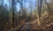 Randonnée Marche Chaudfontaine - petit tour dans le bois d Embourg - Photo 14