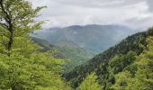 Tour Wandern Bausen -  Cabana de Serralonga depuis Bausen - Photo 1