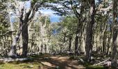 Trail Walking Chile Chico - Cerro Fosiles - Photo 5