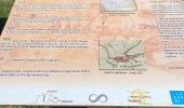 Tocht Stappen Vassieux-en-Vercors - Casier en vercor - Photo 4