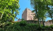 Percorso Marcia Ottrott - ARCA CHÂTEAU D'OTTROTT - Photo 12