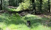 Trail Walking Neufchâteau - Hosseuse début GR 151 puis boucle retour  - Photo 11