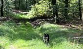 Tocht Stappen Neufchâteau - Hosseuse début GR 151 puis boucle retour  - Photo 11