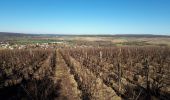 Percorso Marcia Celles-sur-Ource - Les hauts de Celles sur Ource et Neuville sur Seine - Photo 11