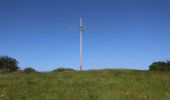 Tour Zu Fuß Hilders - Rundweg 9, Simmershausen - Photo 3