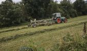 Percorso A piedi Poppenhausen - Poppenhausen - Rhön-Rundweg 5 - Photo 3