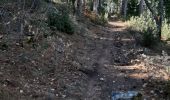 Trail Walking Fuilla - fuilla (66) - Photo 19