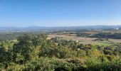 Randonnée Marche Savasse - Savasse et Vieux Village 8km - Photo 8