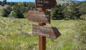 Tour Wandern Caussols - Caussol le 15/05 - Photo 8
