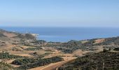 Trail Walking Port-Vendres - paulilles banyuls - Photo 1