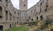 Tour Wandern Mittelbergheim - 2023-02-25 Marche Châteaux Andlau Spessbourg Landsberg - Photo 1