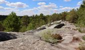Trail Walking Fontainebleau - Fontainebleau - Photo 3