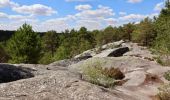 Tour Wandern Fontainebleau - Fontainebleau - Photo 3