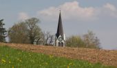 Tocht Te voet Lindau - Effretikon - Pfungen - Photo 6