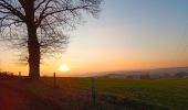 Trail Walking Hamoir - comblain la tour . hoyemont . oneux . comblain la tour - Photo 8