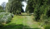 Trail On foot Monschau - Hahnestreck - Photo 2