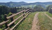 Trail Walking Lapoutroie - La tour du Faudé - Photo 10