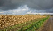 Excursión Senderismo Bassenge - Roclenge-sur-Geer - Photo 5