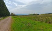 Tocht Stappen Spa - berinzenne . andrimont . chevrouhé . hé stienne . malchamps . berinzenne  - Photo 18