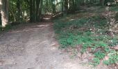 Trail Walking Valorbiquet - St Cyr du Ronceray  - Photo 2