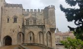 Tour Wandern Avignon - baguenaudage en Avignon - Photo 12