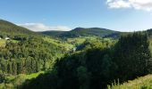 Tour Mountainbike Urbeis - Orbey - Labaroche - Col du Wettstein - Photo 10