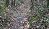 Trail Walking Abbaretz - abbaretz  le chemin des mines  - Photo 5