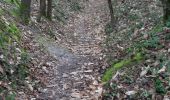 Percorso Marcia Abbaretz - abbaretz  le chemin des mines  - Photo 5