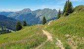 Trail Walking Abondance - Col de Bassachaux le lac vert 7 juillet 2022 - Photo 2
