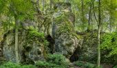 Randonnée A pied Wiesenttal - Rundwanderweg Romantischer Weg Muggendorf - Photo 6