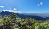 Tour Wandern Saint-Louis - Tapage - Piton Cabris - La Fenêtre  - Photo 6