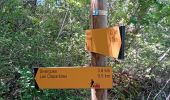 Trail Walking Buoux - Buoux /Saignon - Photo 1