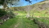 Trail Walking Loubaresse - Loubaresse Nord 5,2 km - Photo 8