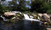 Randonnée Marche Carcès - La vallée de l'Argens-03-0621 - Photo 5