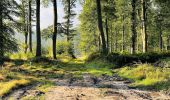 Trail Walking Villers-Cotterêts - en Forêt de Retz_89_09_2021_les Ventes Racines et le Chablis des Bouleaux - Photo 9