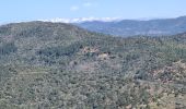 Tour Wandern La Garde-Freinet - La garde freinet - Notre Dame de Miremer - Photo 9