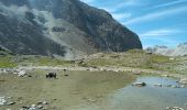 Tocht Stappen Valloire - Pointes des Cerces, départ du Montet  - Photo 4